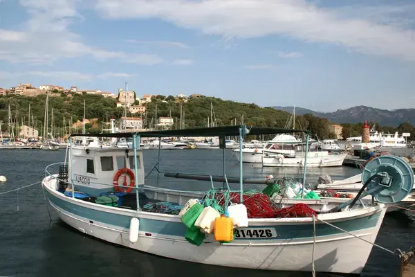 Abri Piscine Motorisé Entreprise abri de piscine Porto-Vecchio