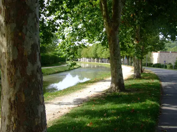Abri Piscine Motorisé Entreprise abri de piscine Saint-Amand-Montrond